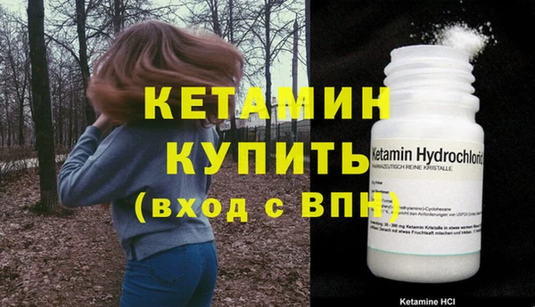 дмт Арсеньев