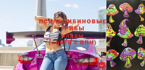 дмт Арсеньев