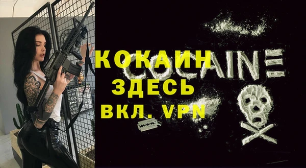 дмт Арсеньев